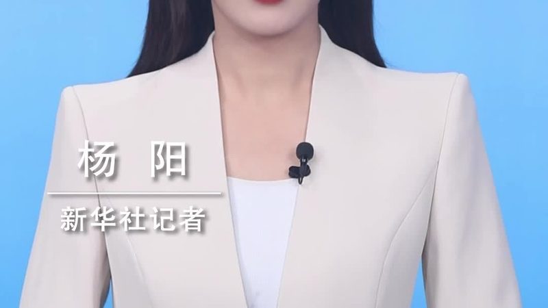 ELT工具与数据仓库：高效数据处理的黄金搭档